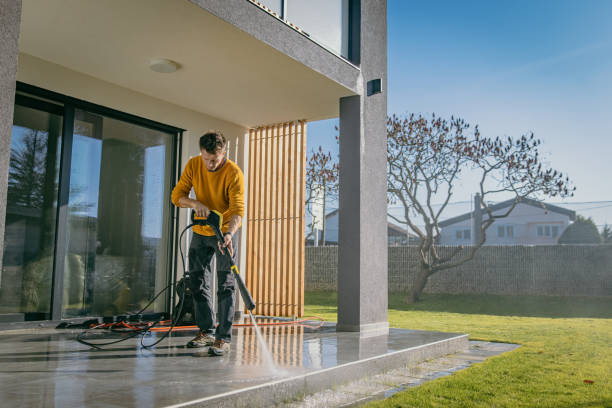 Best Gutter Cleaning  in Willmar, MN